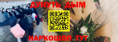прущие грибы Жуковский