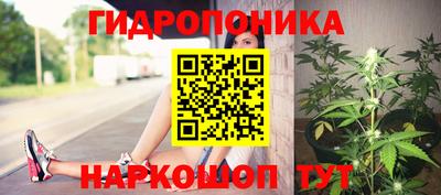 прущие грибы Жуковский