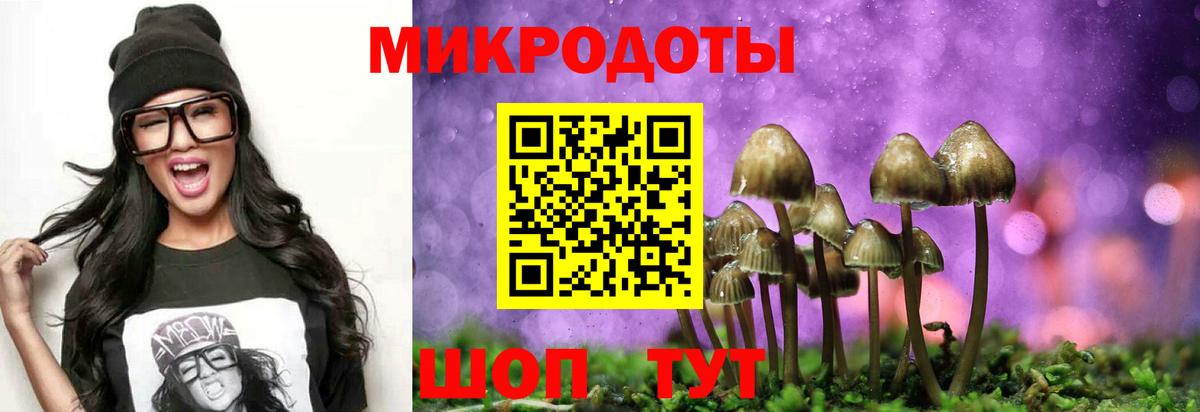 цена наркотик  Вход с VPN  Майкоп  Галлюциногенные грибы прущие грибы 